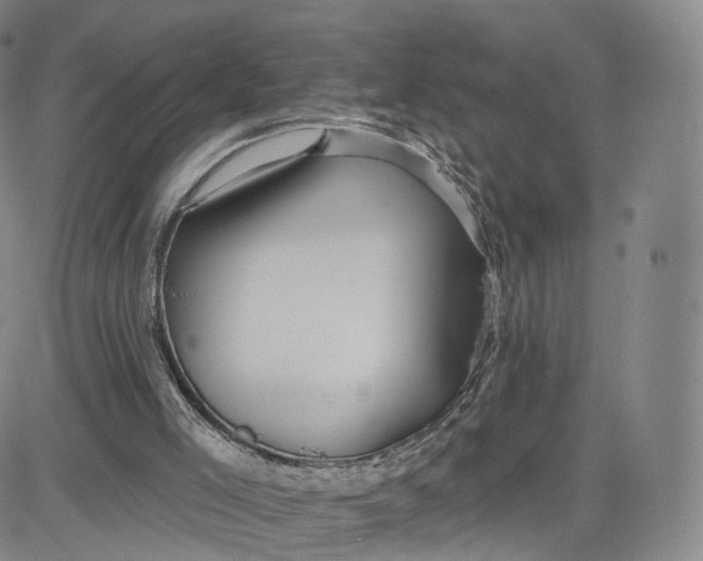 X0000080770005200701021134