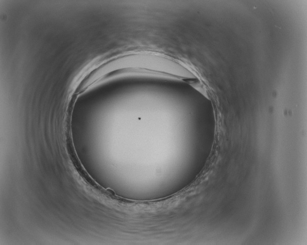 X0000080770007200701021134