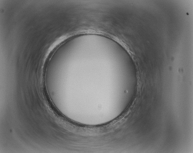 X0000080770008200701021134