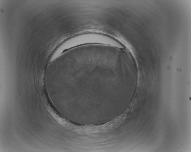 X0000080770009200701021134