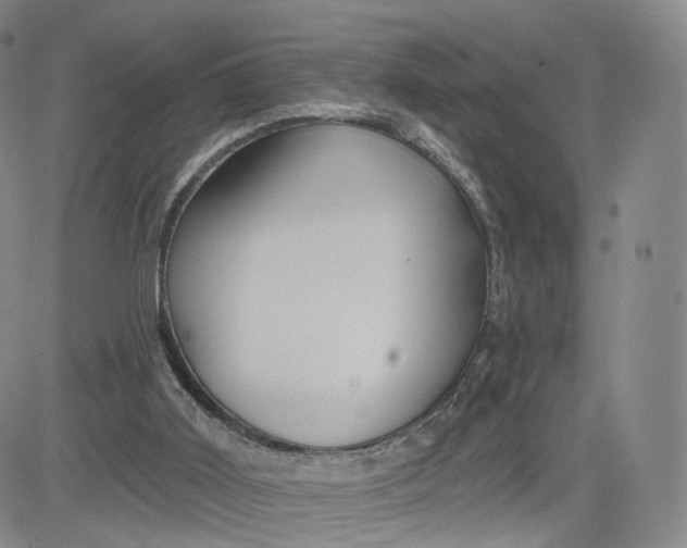 X0000080770011200701021134