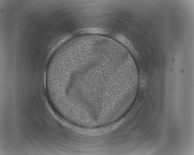 X0000080770014200701021134