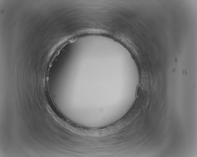 X0000080770015200701021134