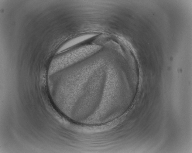 X0000080770017200701021133