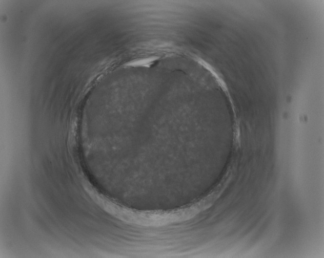 X0000080770018200701021133