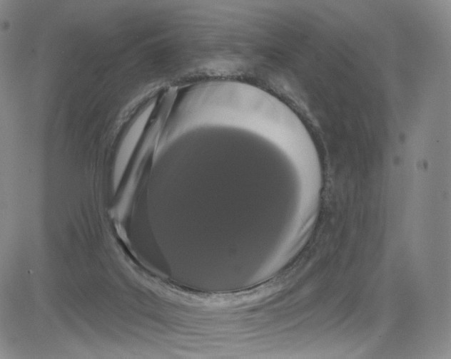 X0000080770019200701021133