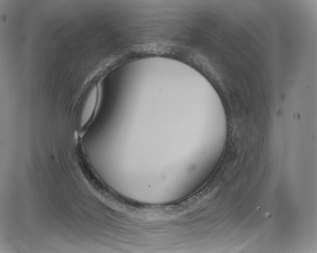 X0000080770020200701021133