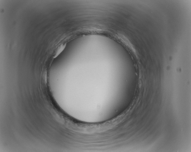 X0000080770021200701021133