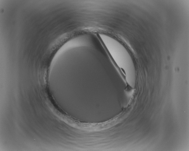 X0000080770023200701021133