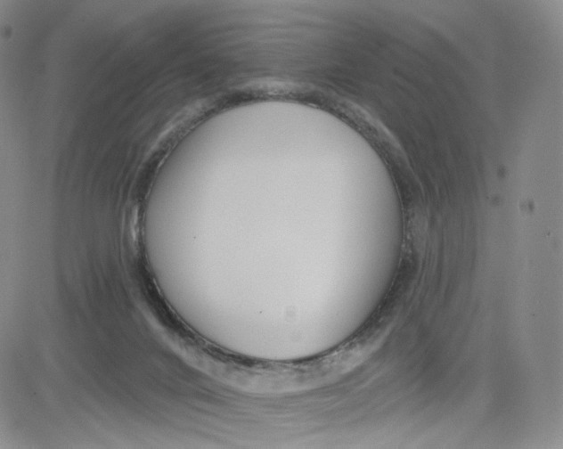 X0000080770024200701021133