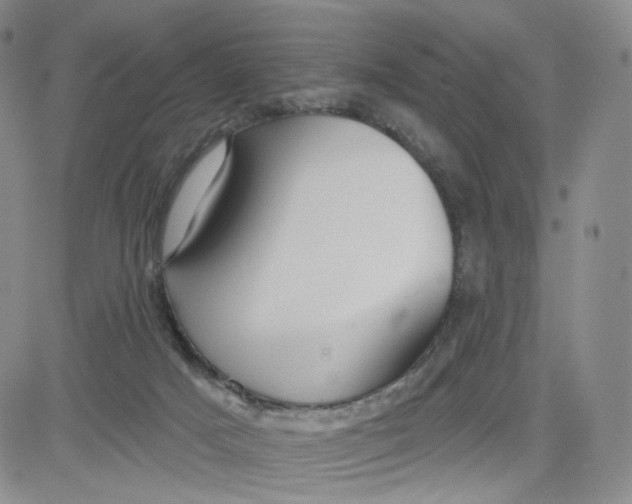 X0000080770025200701021133