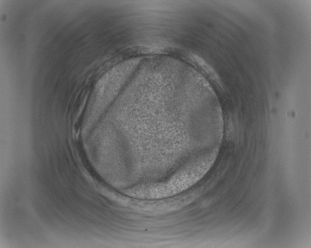 X0000080770026200701021133