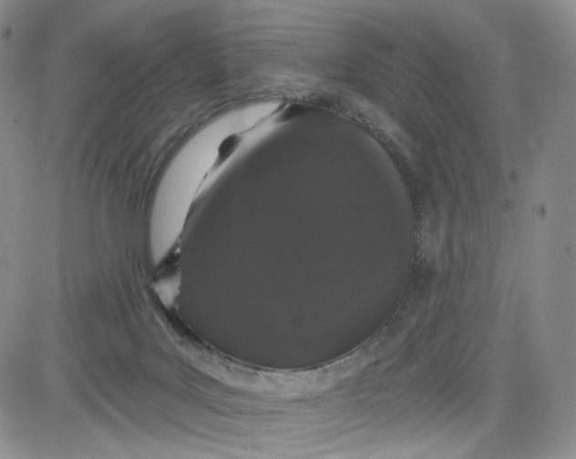 X0000080770027200701021133