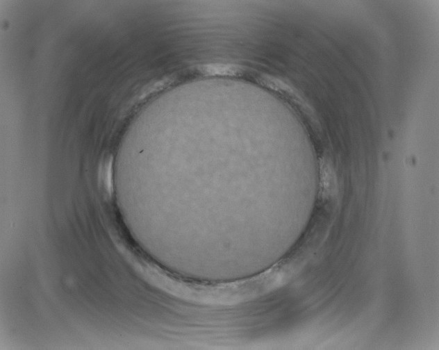 X0000080770028200701021133