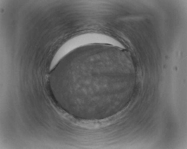 X0000080770029200701021133