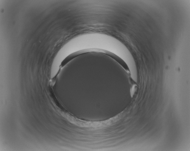 X0000080770031200701021133