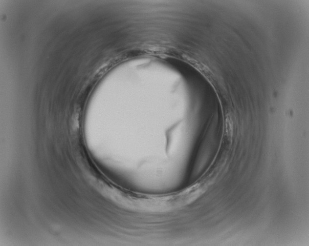 X0000080770032200701021133