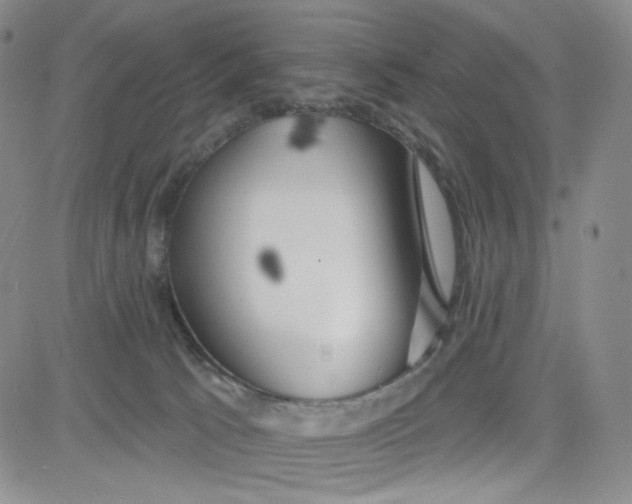 X0000080770033200701021133