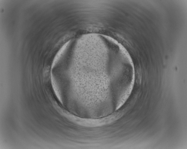 X0000080770034200701021133