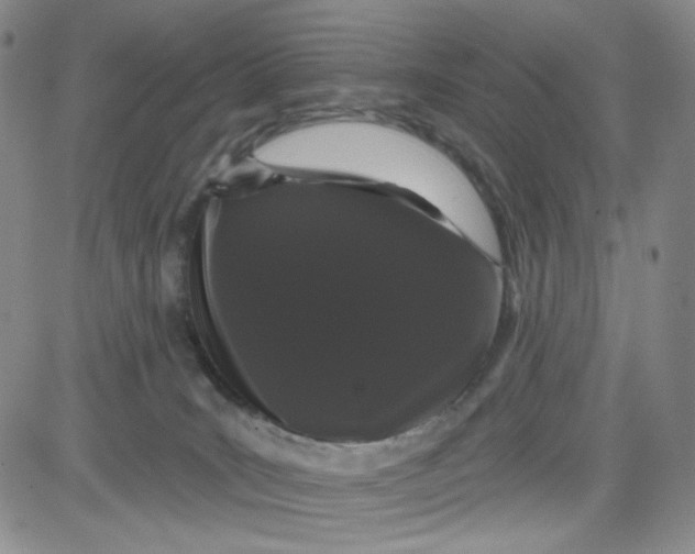 X0000080770035200701021133