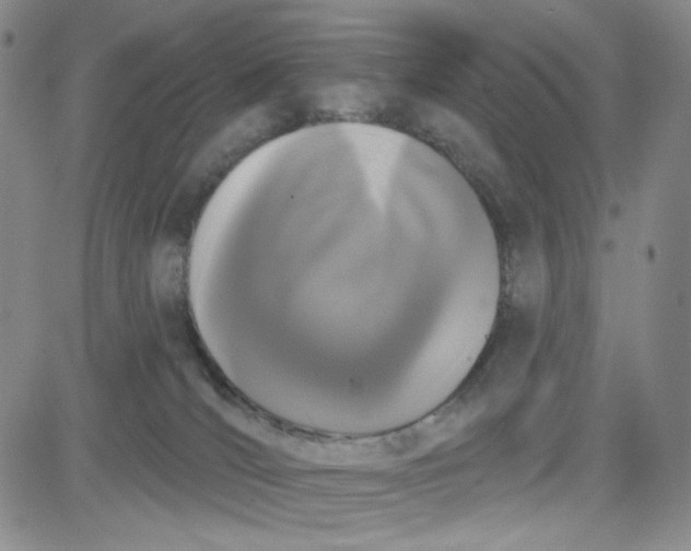 X0000080770036200701021133