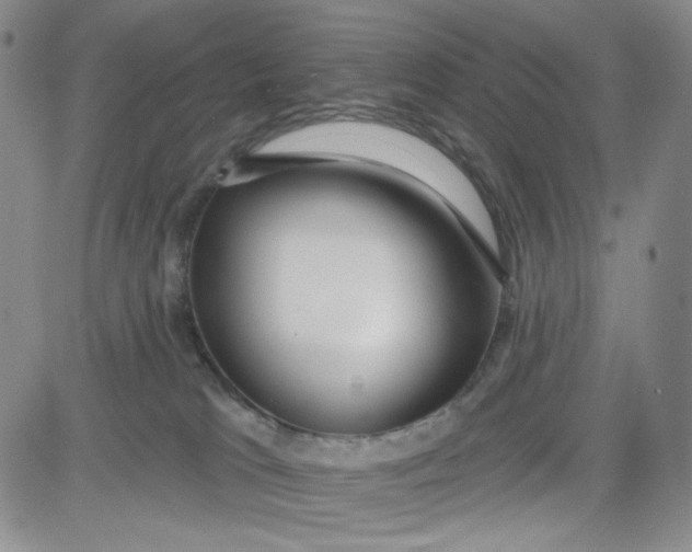 X0000080770037200701021133