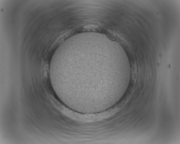 X0000080770038200701021133