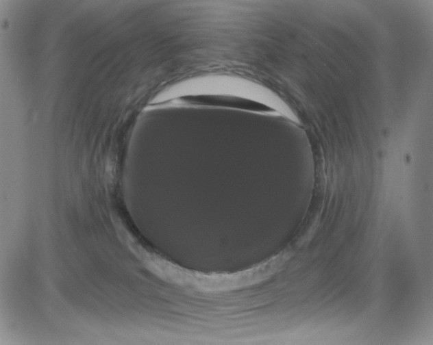 X0000080770039200701021133