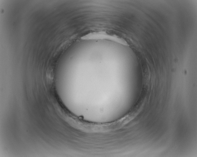 X0000080770040200701021133