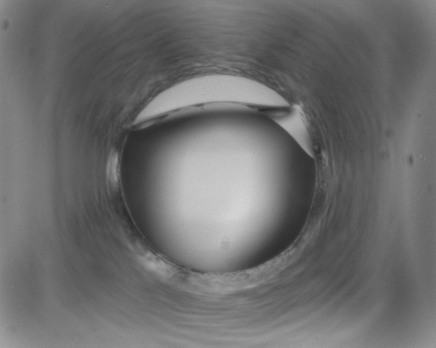 X0000080770041200701021133