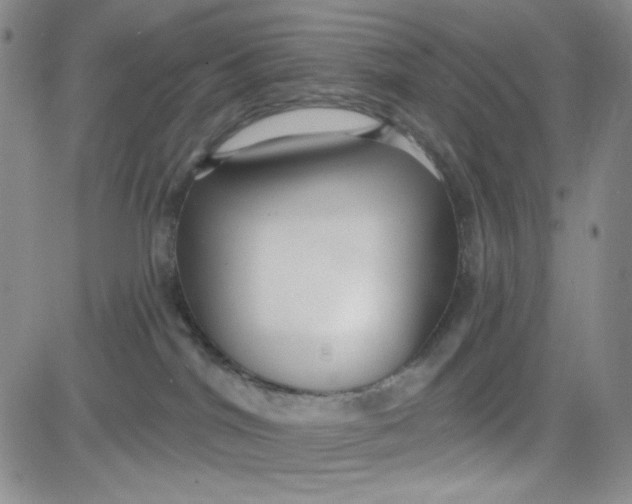 X0000080770044200701021133