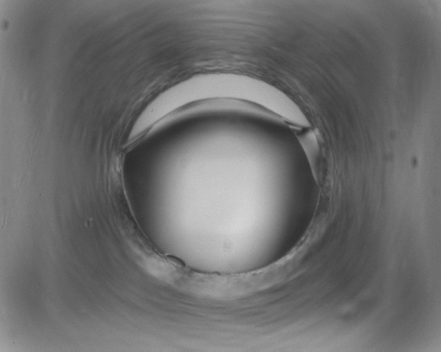 X0000080770045200701021133