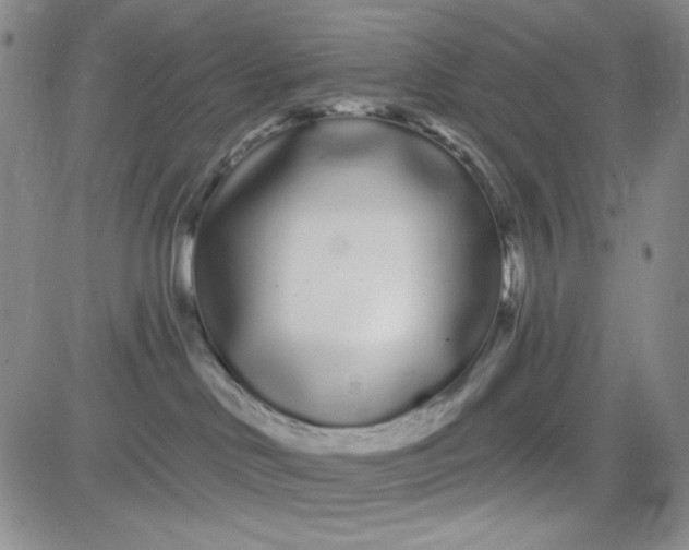 X0000080770046200701021133