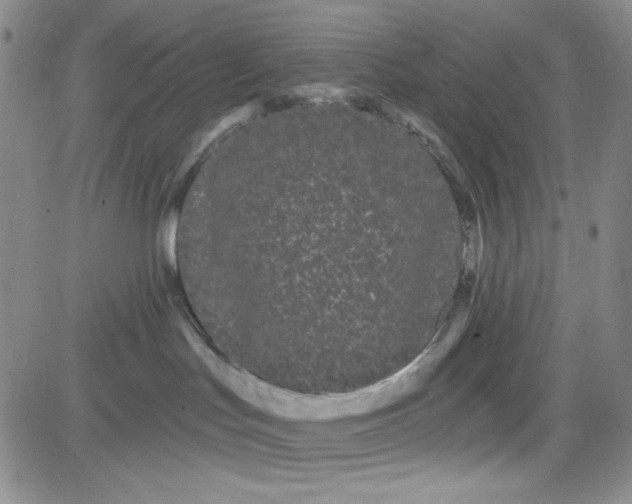 X0000080770047200701021133