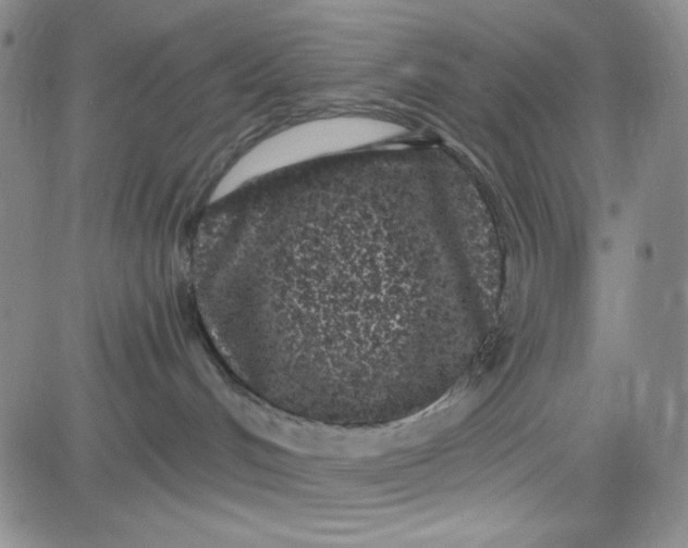 X0000080770048200701021133