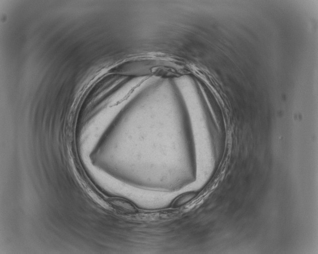 X0000080770049200701021132