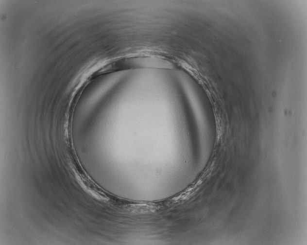 X0000080770050200701021132