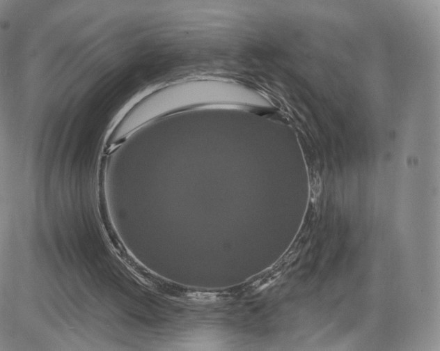 X0000080770052200701021132