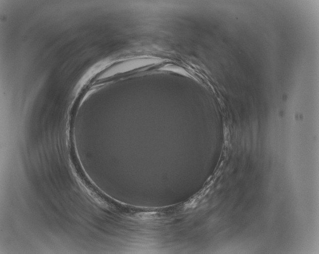 X0000080770054200701021132