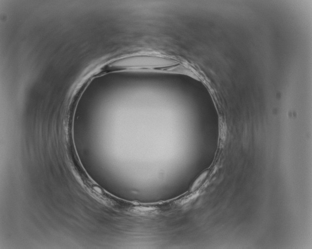 X0000080770055200701021132