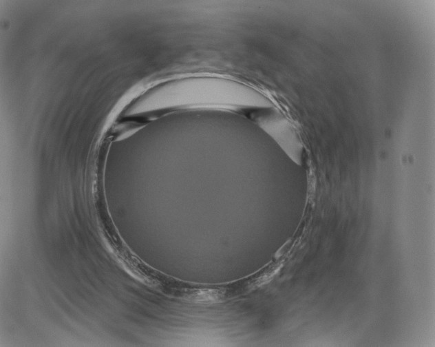 X0000080770056200701021132