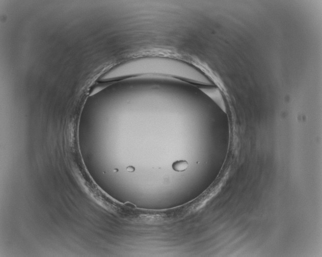 X0000080770057200701021132