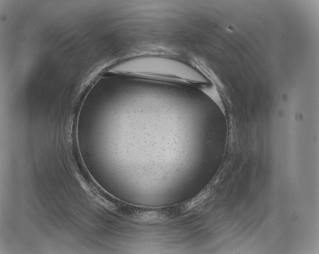 X0000080770058200701021132