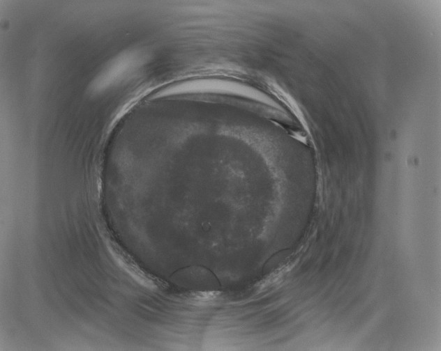 X0000080770059200701021132