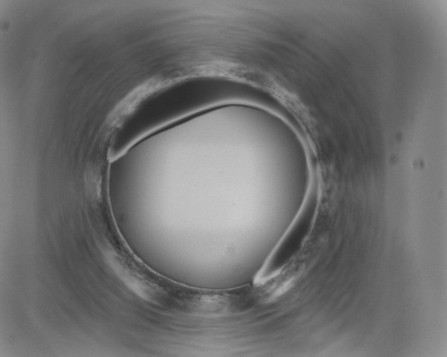 X0000080770060200701021132