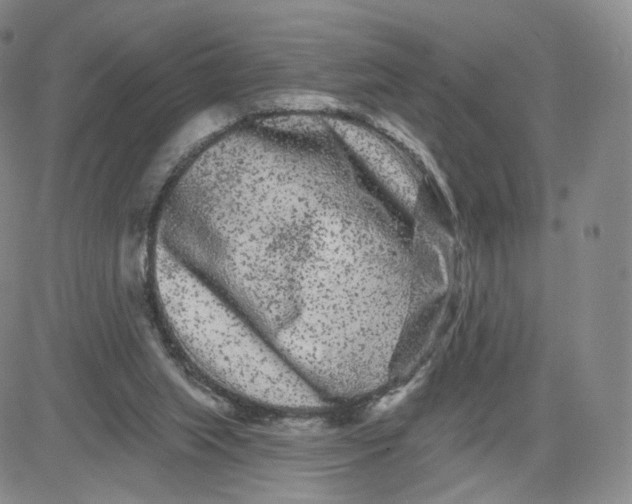 X0000080770063200701021132