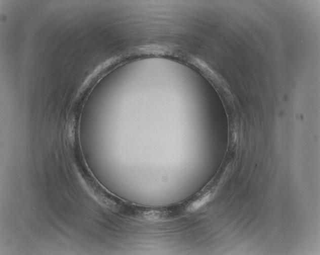 X0000080770064200701021132