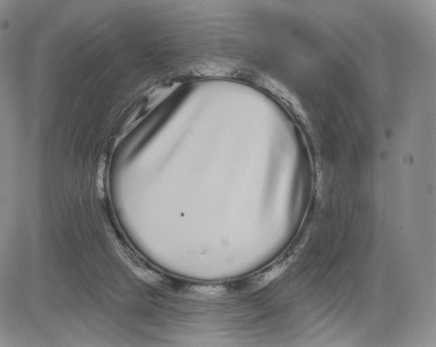 X0000080770065200701021132