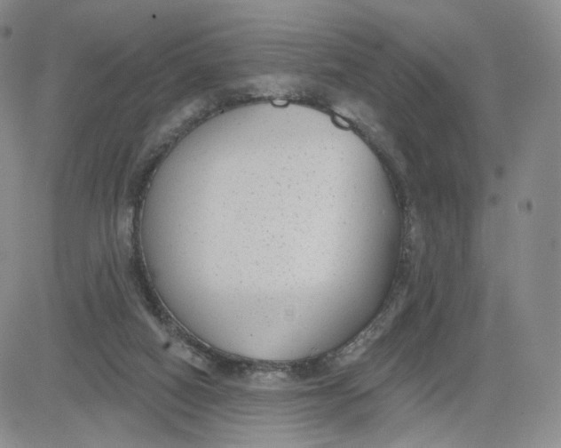 X0000080770066200701021132