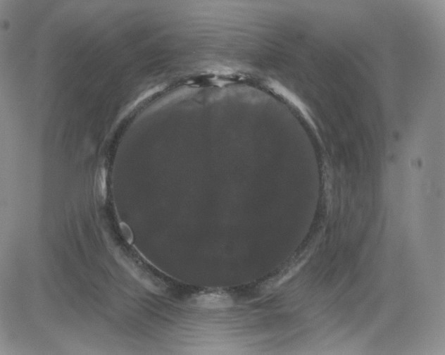 X0000080770067200701021132